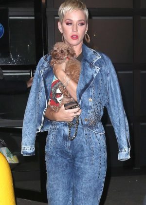 Katy Perry - Out with her dog in NYC