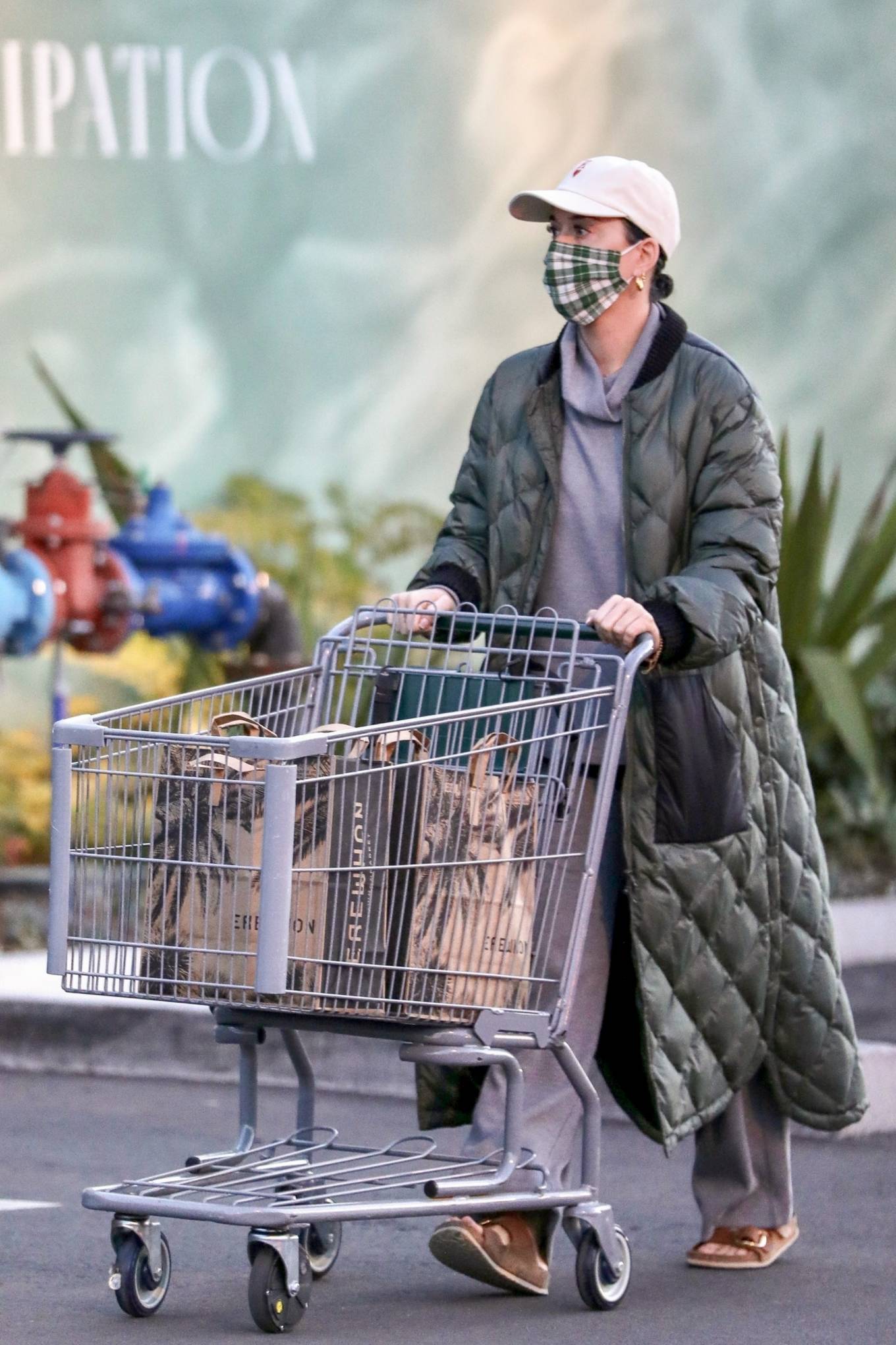 Katy Perry - shopping at Erewhon Market in Los Angeles