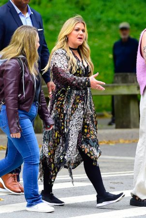 Kelly Clarkson - Seen with a group in Central Park in New York