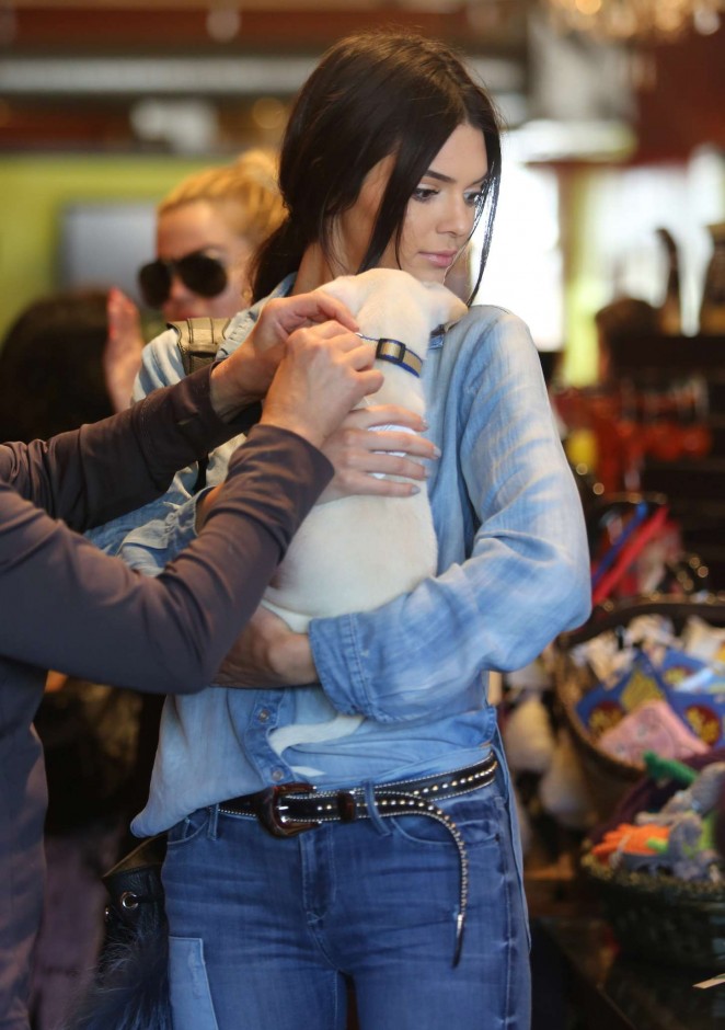 Kendall Jenner - Bark n' Bitches HUMANE Pet Shop in LA