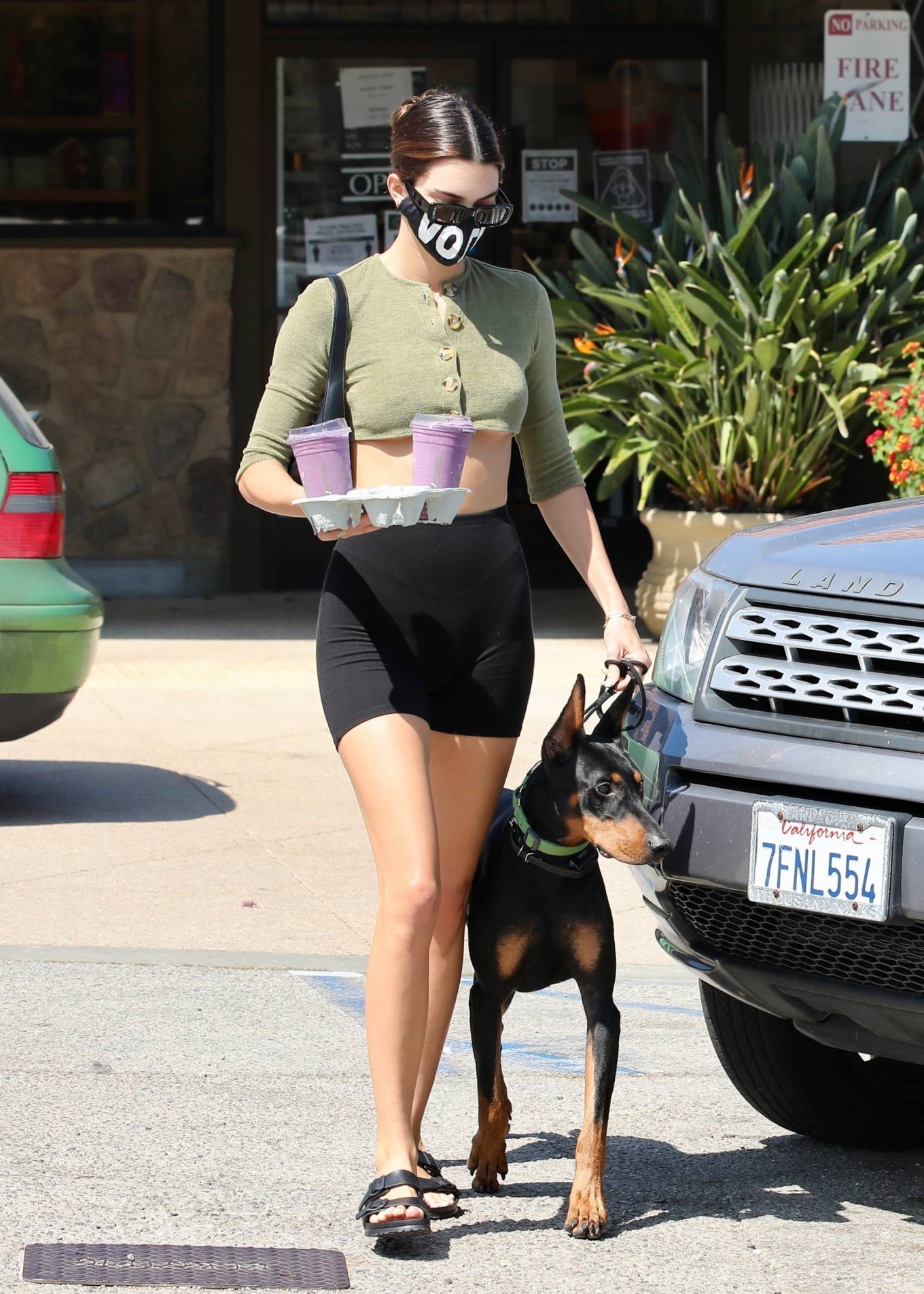 Kendall Jenner - Spotted with her doberman at Sunlife Organics in ...