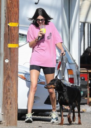 Kendall Jenner with her dog out in West Hollywood