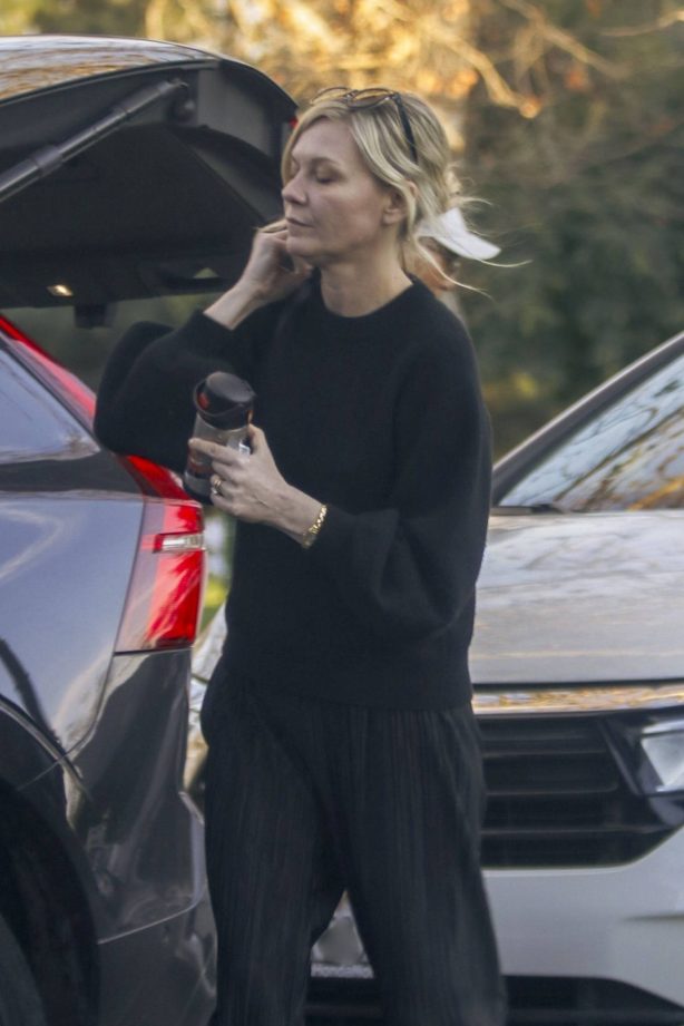 Kirsten Dunst - Seen in a park with her children and friends in Los Angeles