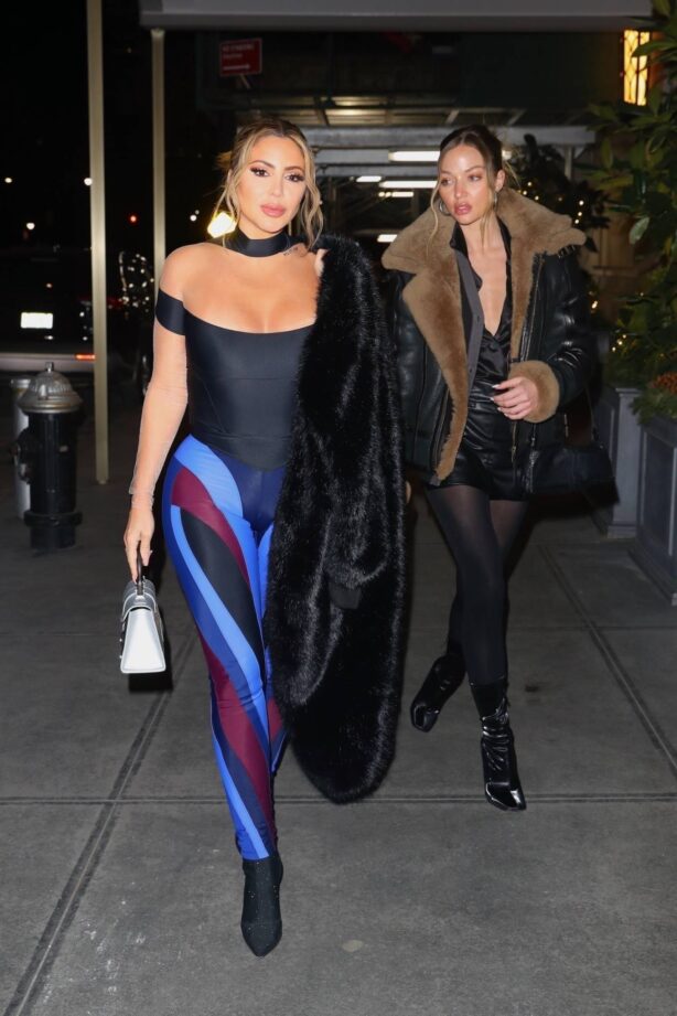 Larsa Pippen - With Erika Costell Out for dinner in New York