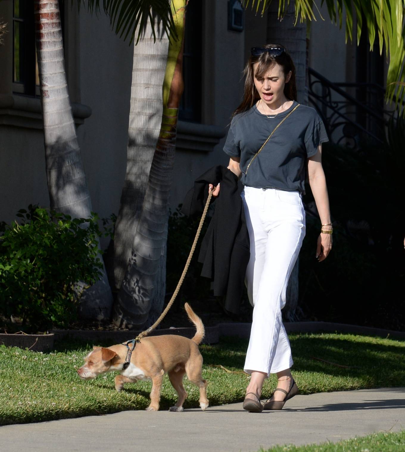 Lily Collins 2022 : Lily Collins – On a stroll with her dog and a friend in West Hollywood-03