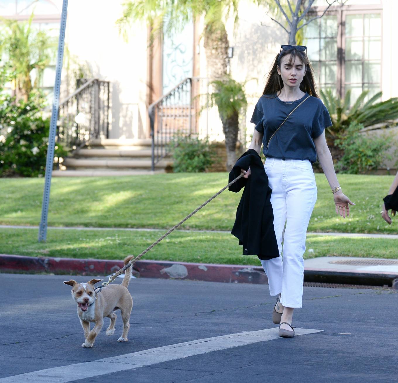 Lily Collins 2022 : Lily Collins – On a stroll with her dog and a friend in West Hollywood-05
