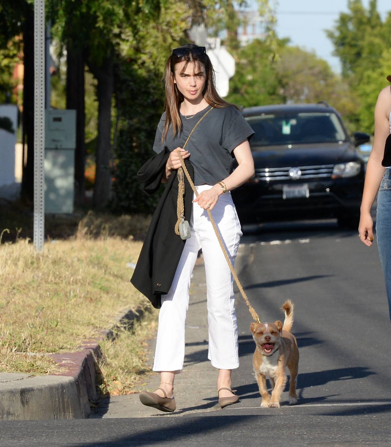 Lily Collins 2022 : Lily Collins – On a stroll with her dog and a friend in West Hollywood-06