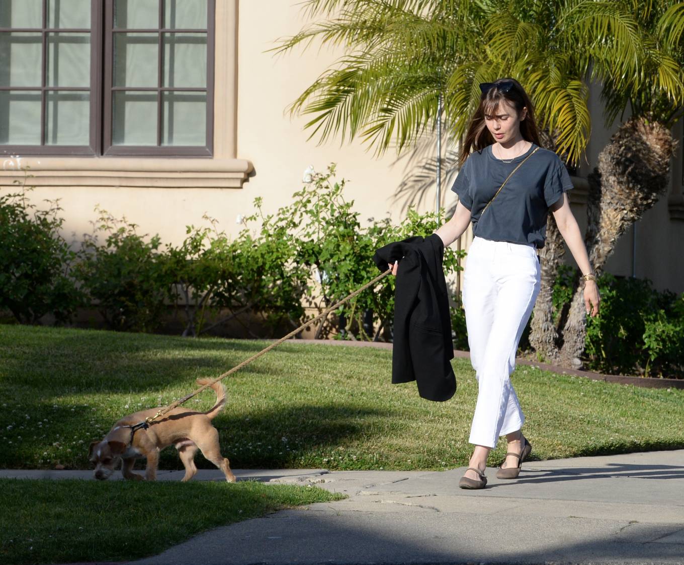 Lily Collins 2022 : Lily Collins – On a stroll with her dog and a friend in West Hollywood-11