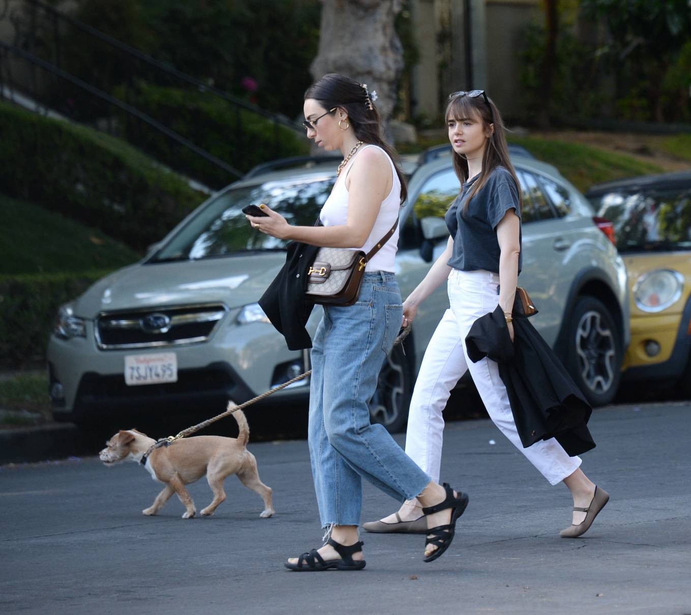 Lily Collins 2022 : Lily Collins – On a stroll with her dog and a friend in West Hollywood-13