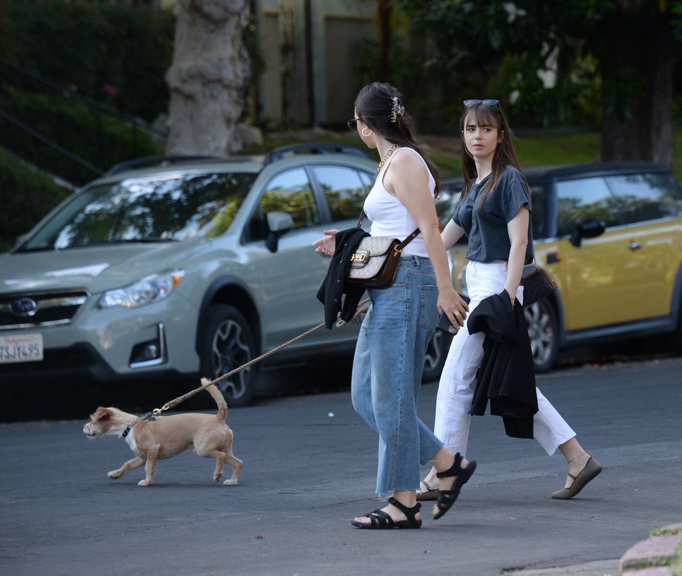 Lily Collins 2022 : Lily Collins – On a stroll with her dog and a friend in West Hollywood-14
