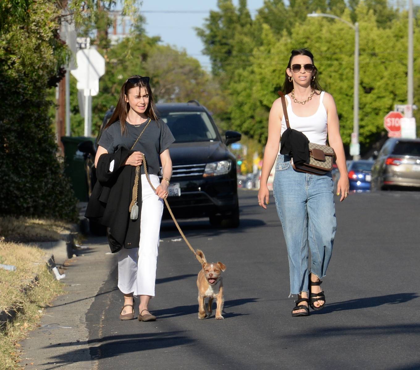 Lily Collins 2022 : Lily Collins – On a stroll with her dog and a friend in West Hollywood-17