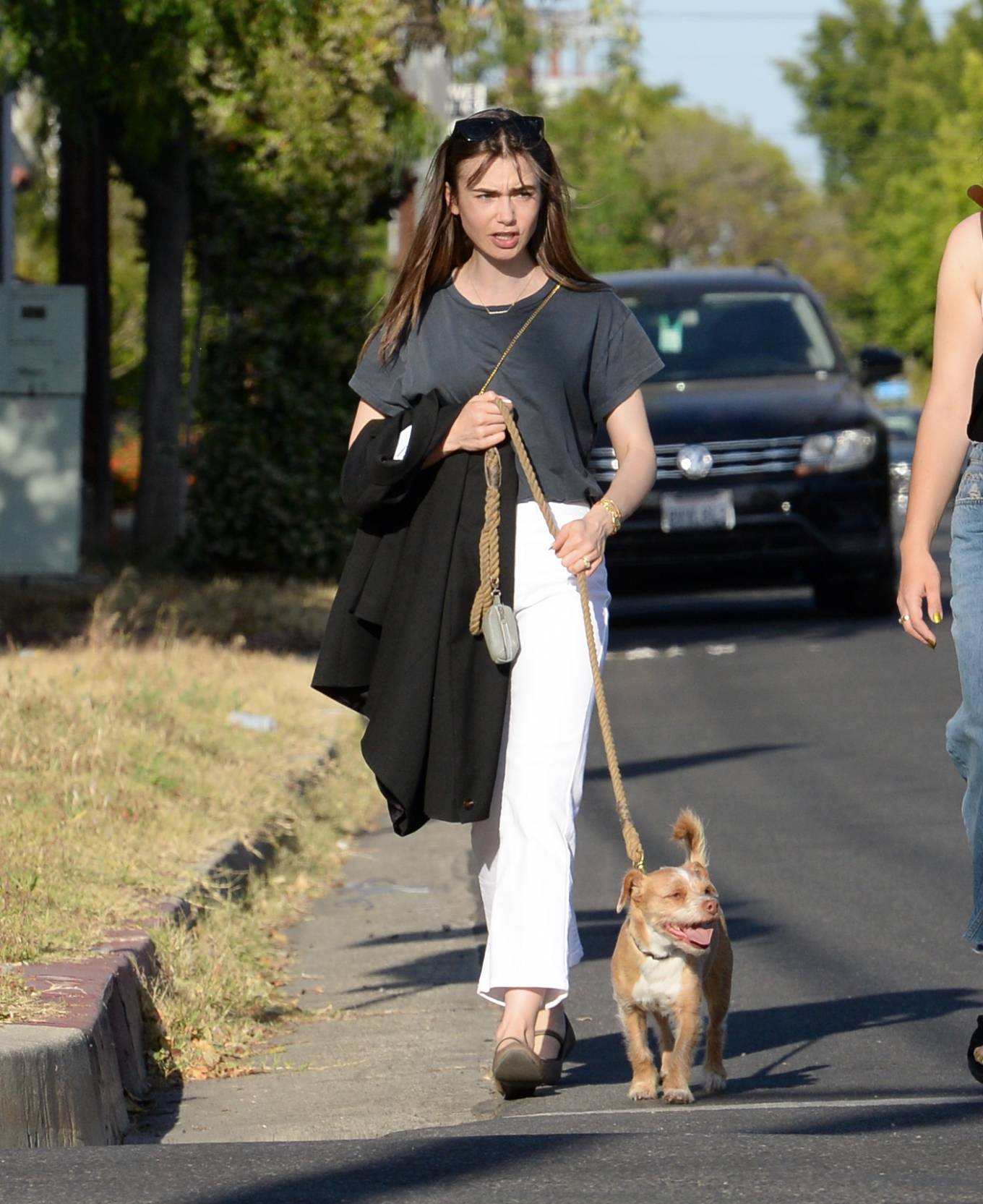 Lily Collins 2022 : Lily Collins – On a stroll with her dog and a friend in West Hollywood-21