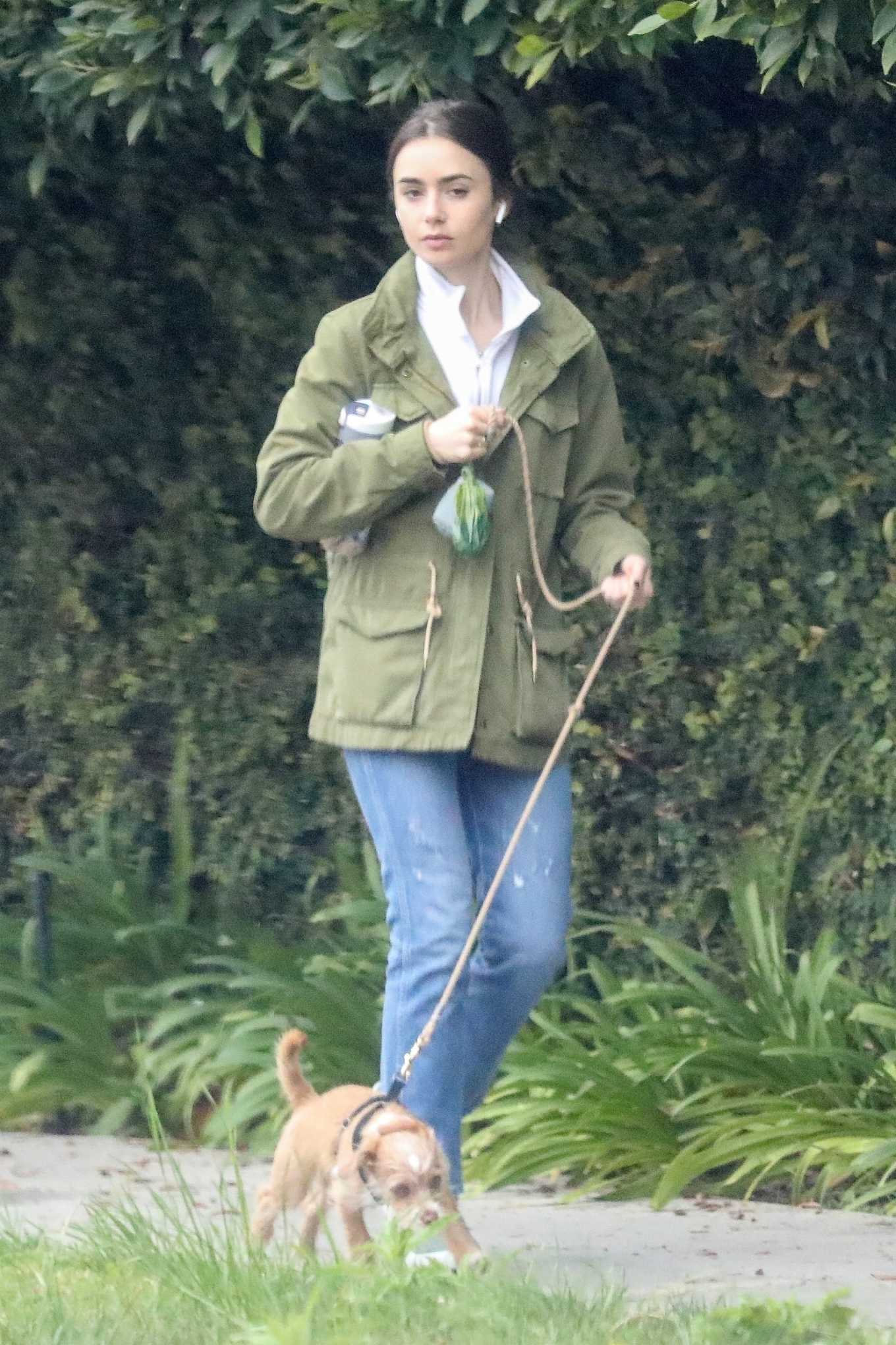 Lily Collins walk her dog in Beverly Hills