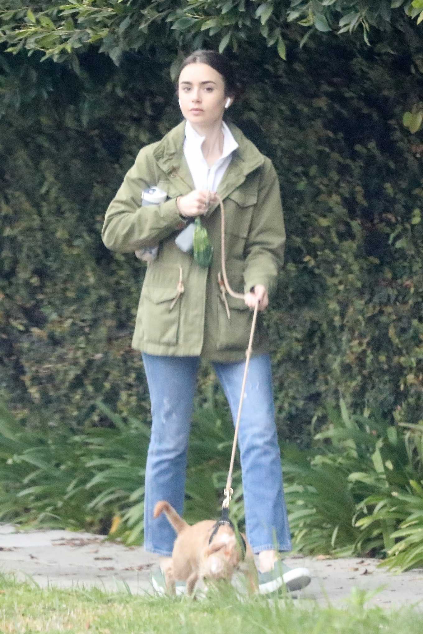 Lily Collins walk her dog in Beverly Hills
