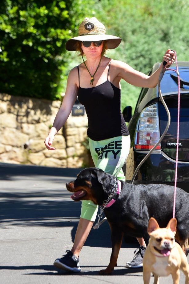 Lisa Rinna - Out with her dogs in Hollywood
