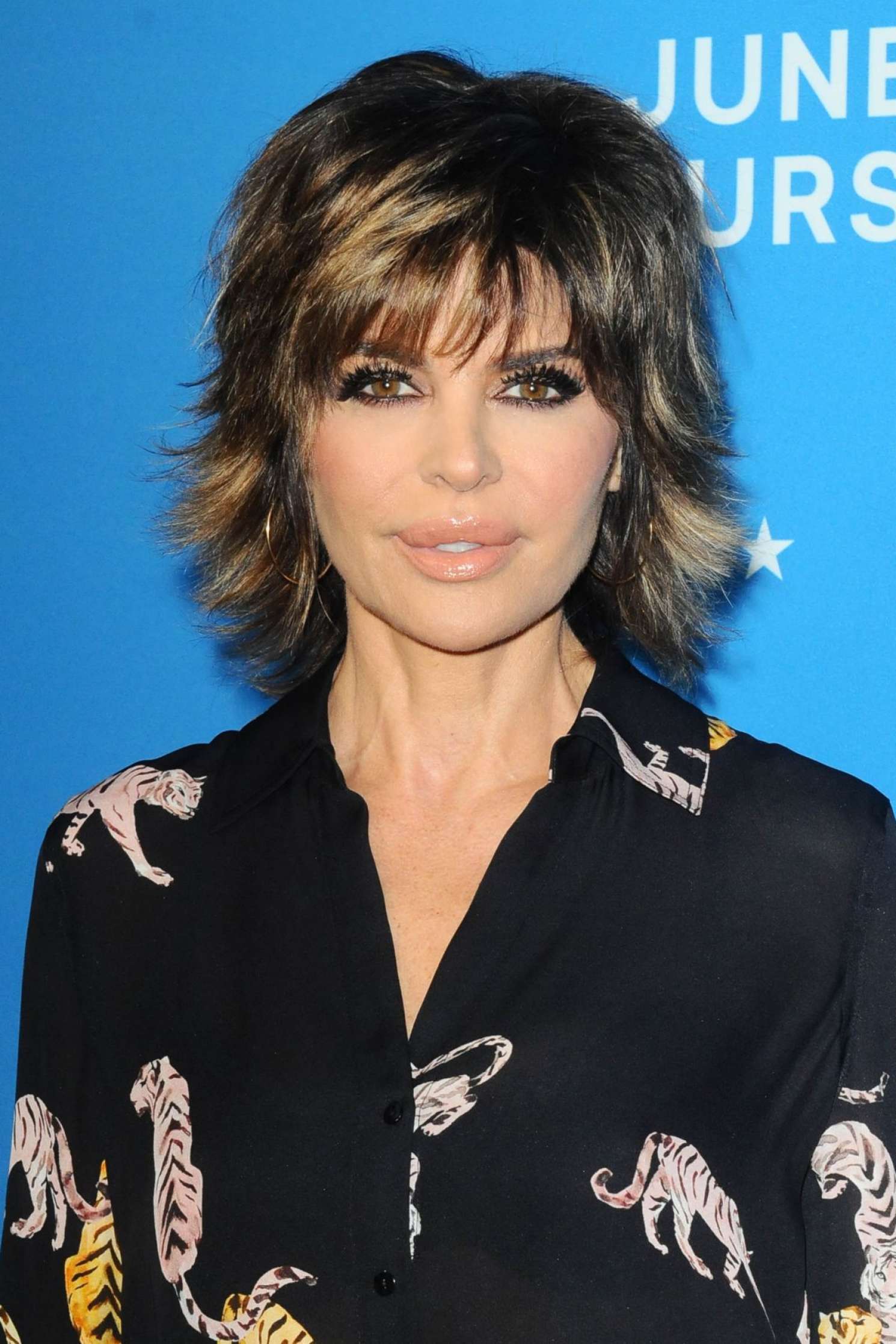 Lisa Rinna Photocall for American Woman Premiere Party In Los Angeles