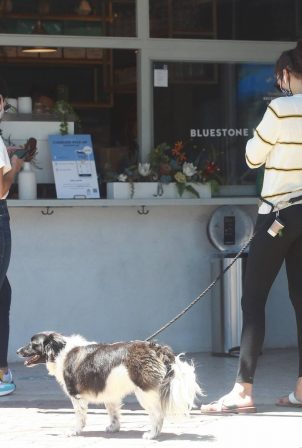 Lucy Hale and Nina Dobrev - Running errands in Los Angeles
