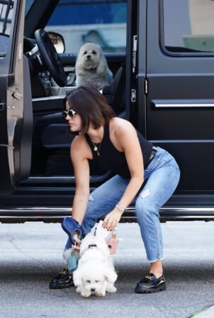 Lucy Hale - dropping her dogs off at daycare in Studio City