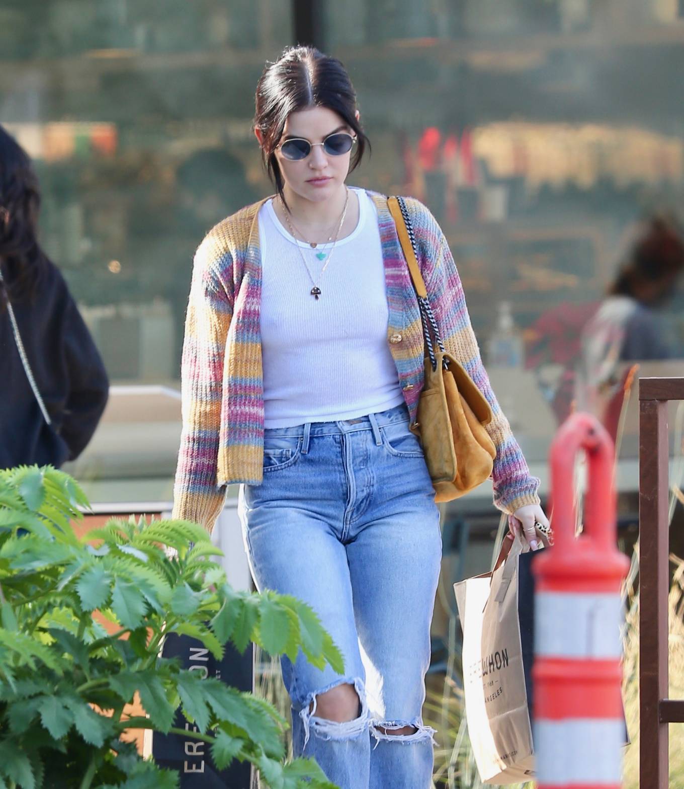 Lucy Hale - Grocery shopping at Erewhon Organic Grocers in Los Angeles ...