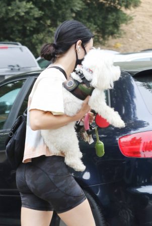 Lucy Hale - In Camouflage Sports Shorts with her dog Elvis in Los Angeles