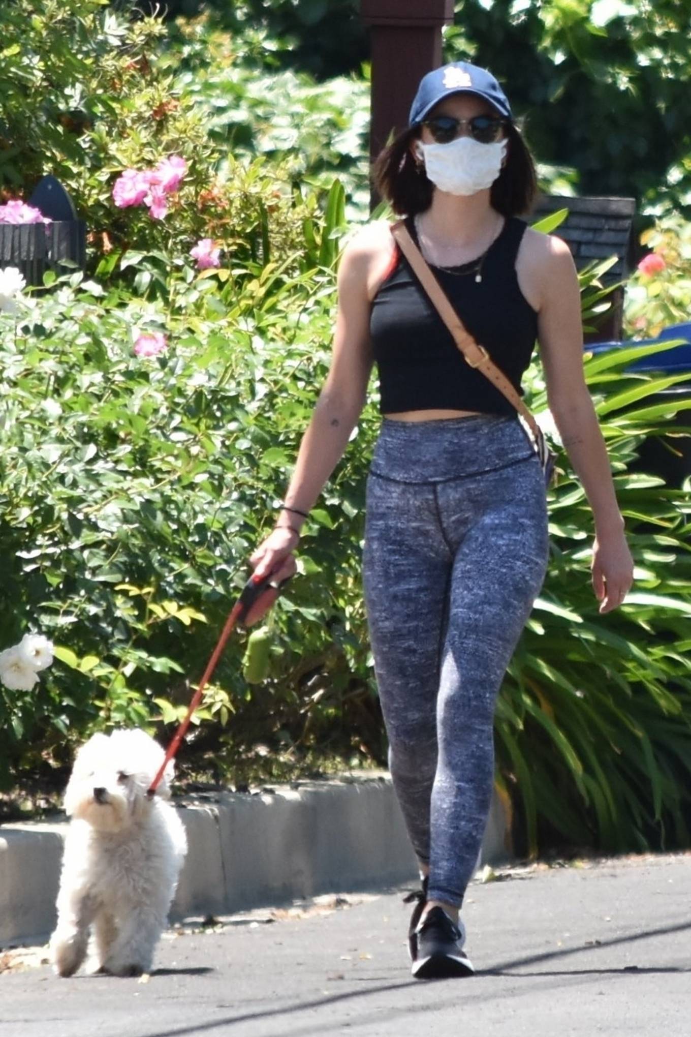 Lucy Hale in Tights and Sports Bra – Goes on a walk with her dog Elvis ...