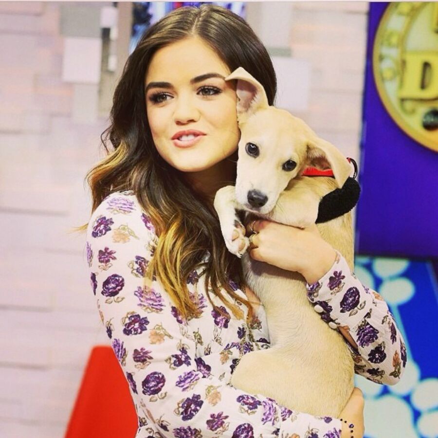 Lucy Hale â€“ Instagram and social media