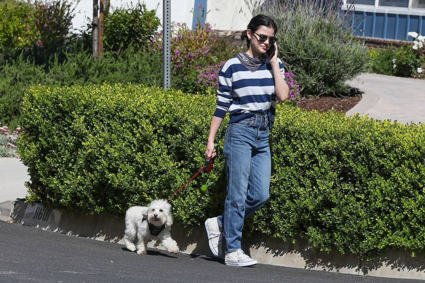 Lucy Hale â€“ Looks casual as she out for a solo dog walk