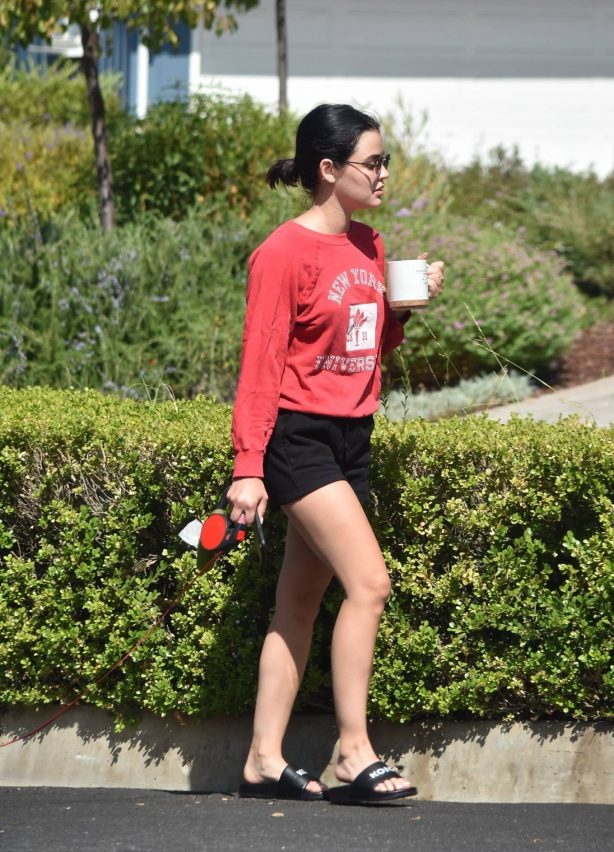 Lucy Hale - Out for a dog on a walk in the morning in Studio City