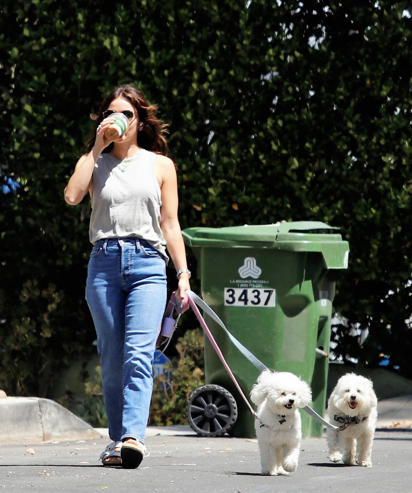 Lucy Hale 2022 : Lucy Hale – out for a dog walk in Los Angeles-15