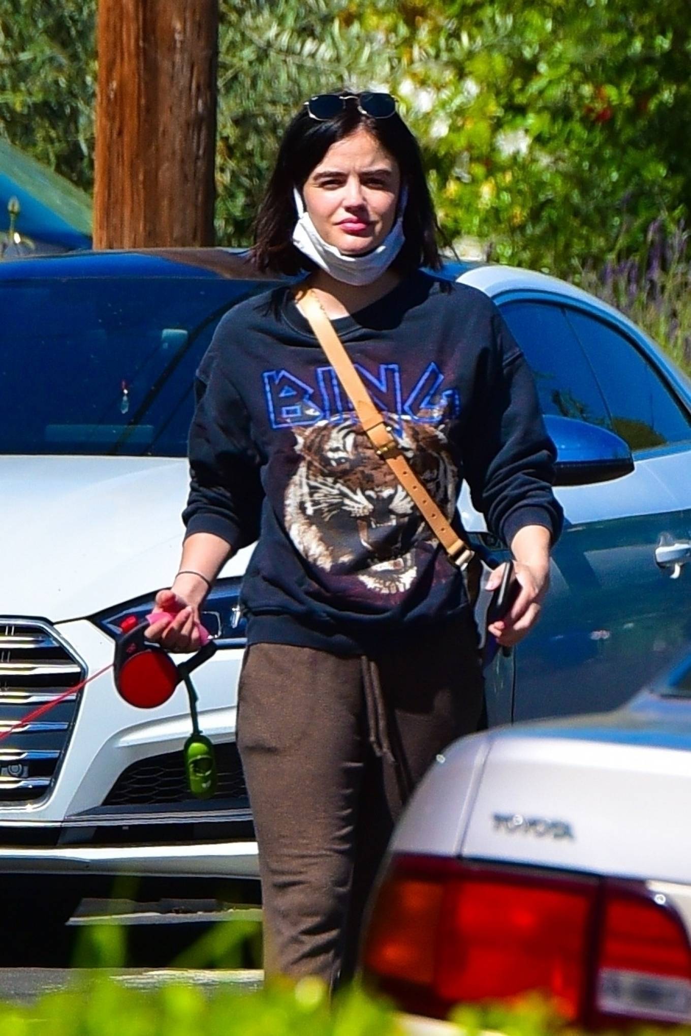Lucy Hale â€“ Out for a walk with her dog Elvis in Los Angeles