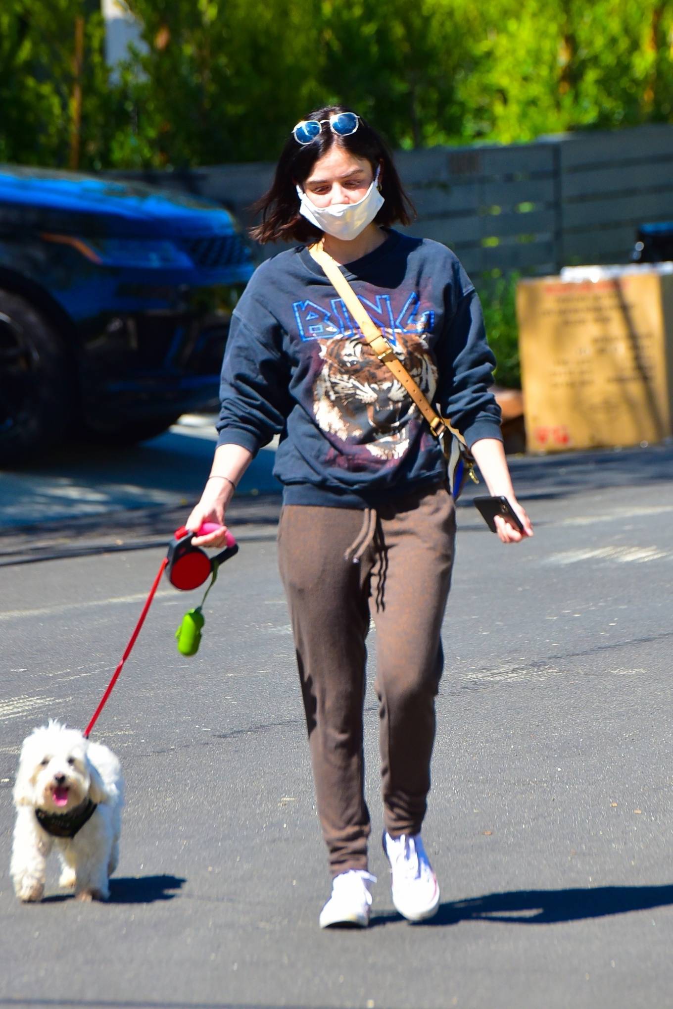 Lucy Hale â€“ Out for a walk with her dog Elvis in Los Angeles