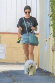 Lucy Hale - Picks up her dog Elvis from a dog hotel in Studio City