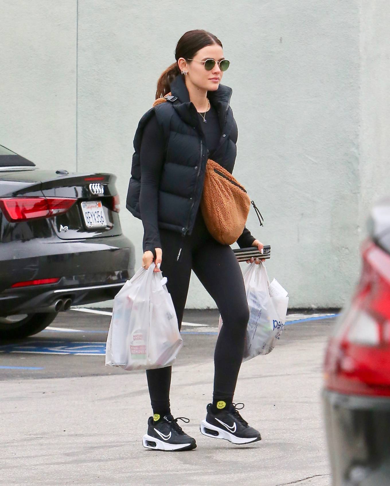 Lucy Hale 2023 : Lucy Hale – Shopping for dog food at Petco in Los Angeles-07