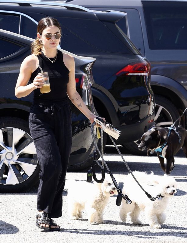 Lucy Hale - Spotted with her dogs at park in Los Angeles