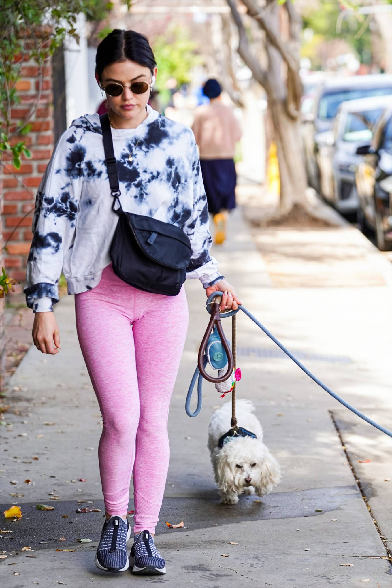 Lucy Hale 2022 : Lucy Hale – Steps out for a dogs walk in Studio City-07