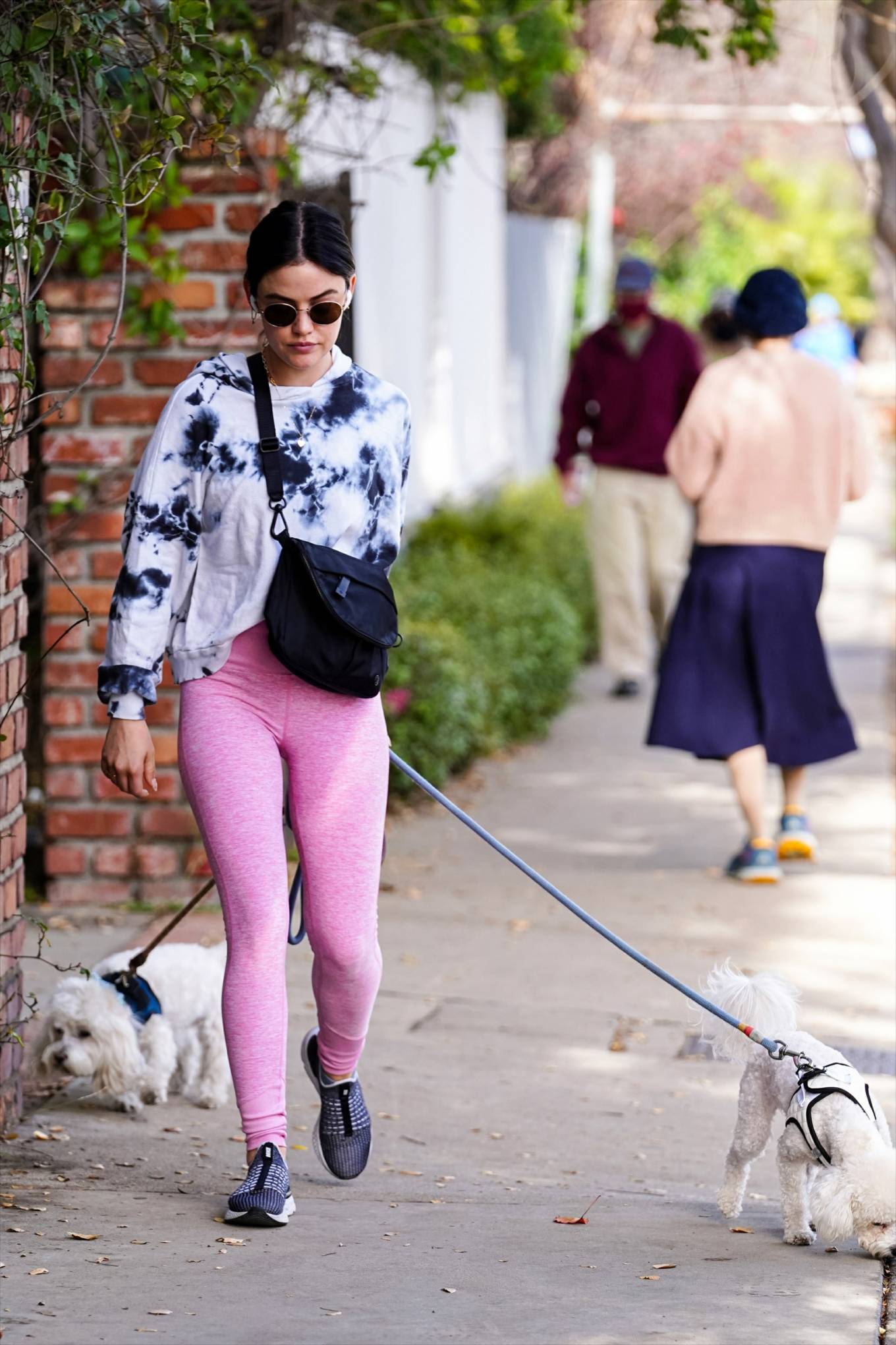 Lucy Hale 2022 : Lucy Hale – Steps out for a dogs walk in Studio City-09