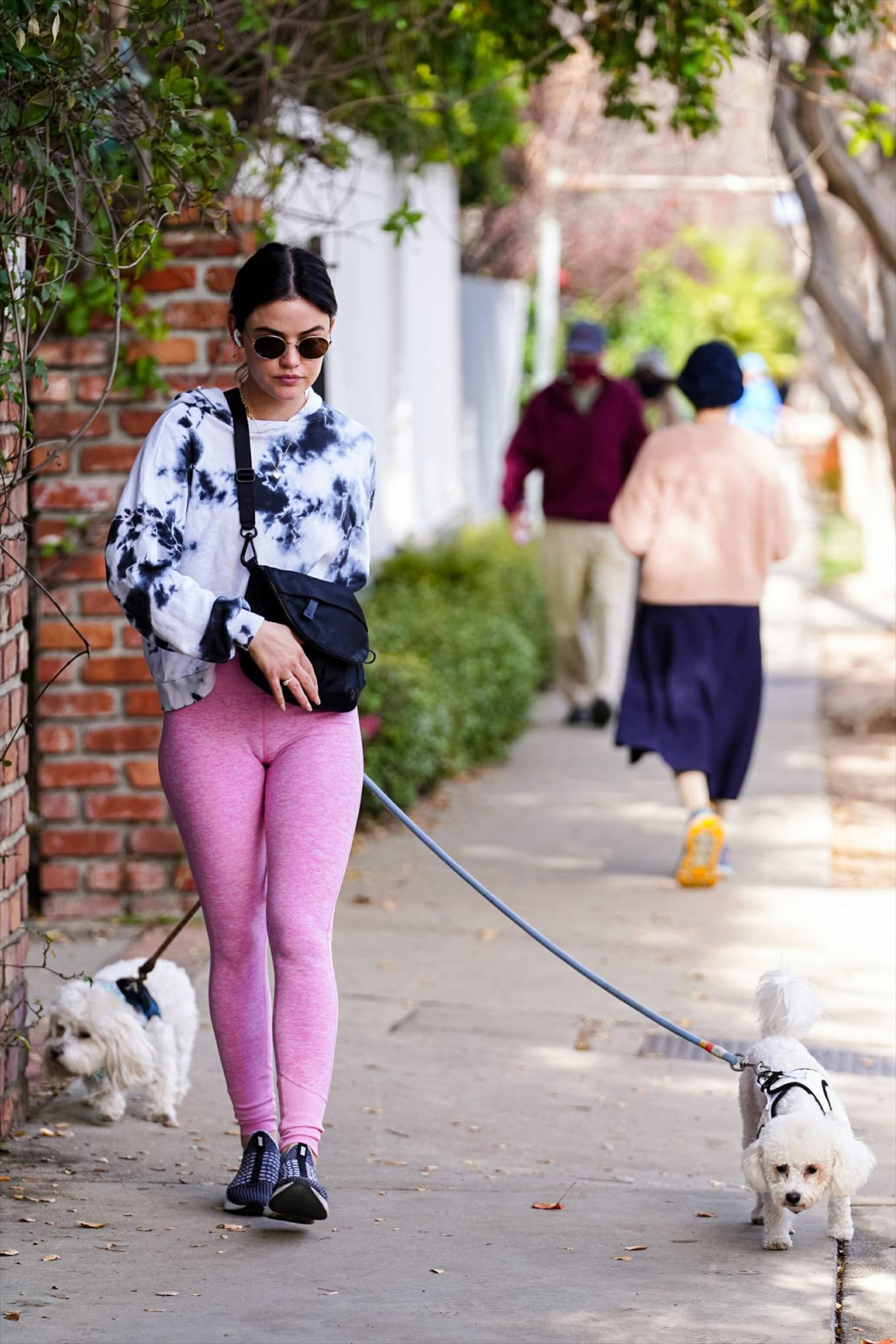 Lucy Hale 2022 : Lucy Hale – Steps out for a dogs walk in Studio City-15
