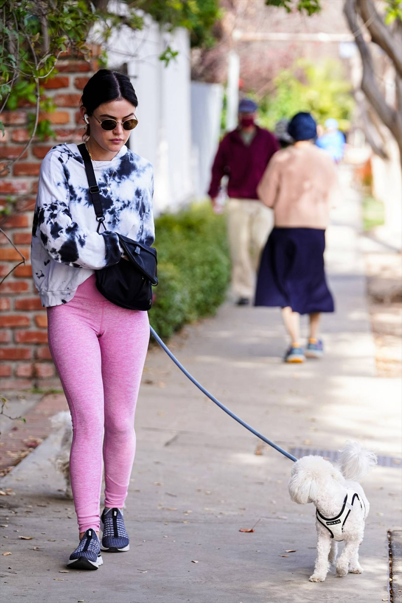 Lucy Hale 2022 : Lucy Hale – Steps out for a dogs walk in Studio City-23