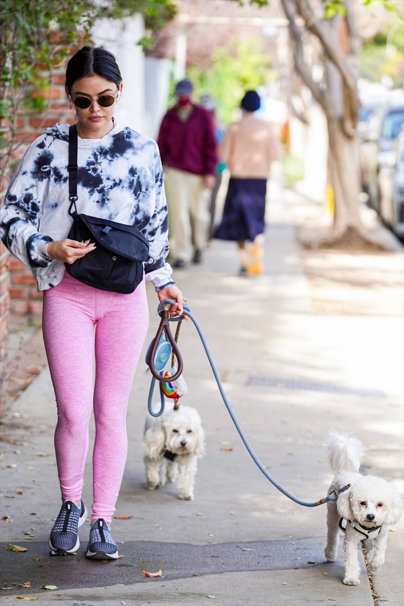 Lucy Hale 2022 : Lucy Hale – Steps out for a dogs walk in Studio City-30