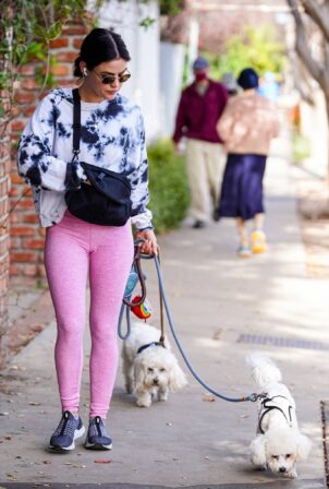 Lucy Hale - Steps out for a dogs walk in Studio City