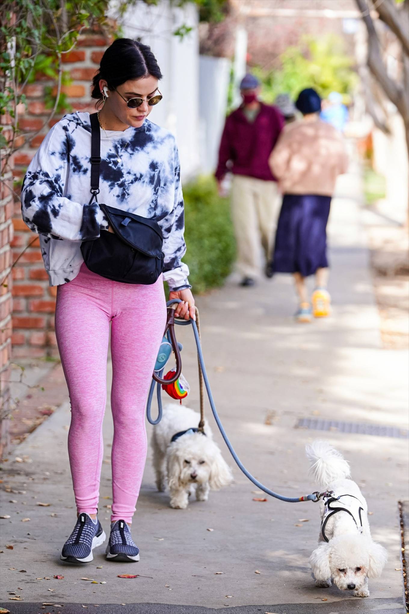Lucy Hale 2022 : Lucy Hale – Steps out for a dogs walk in Studio City-31
