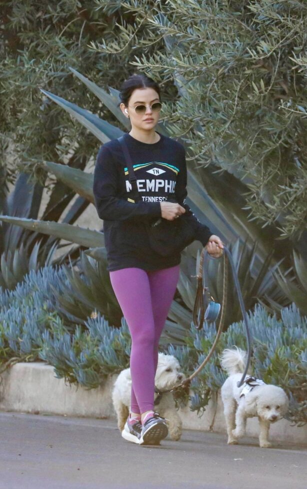 Lucy Hale - Steps out with her two poodles for walk in Los Angeles