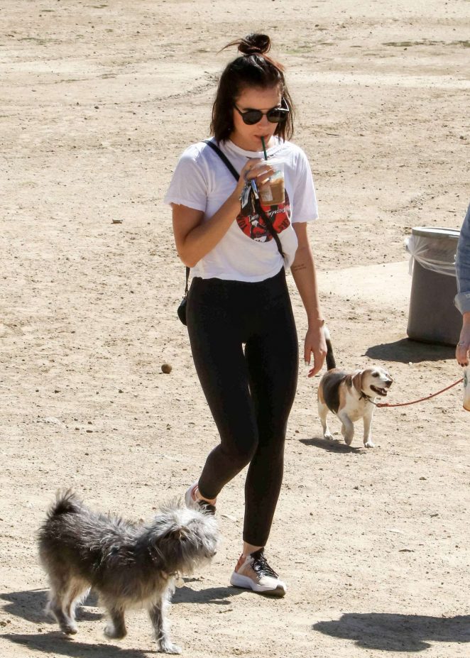 Lucy Hale - Taking her dog Elvis to a park in Los Angeles