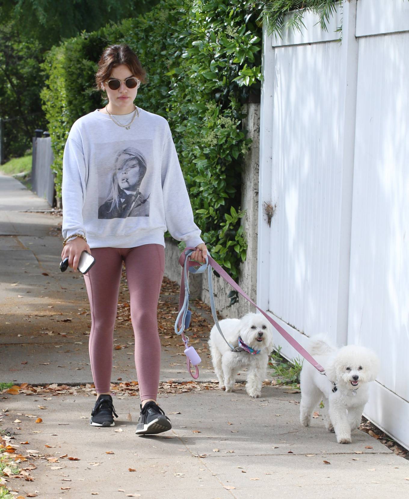 Lucy Hale - Taking her dogs for a walk in Los Angeles