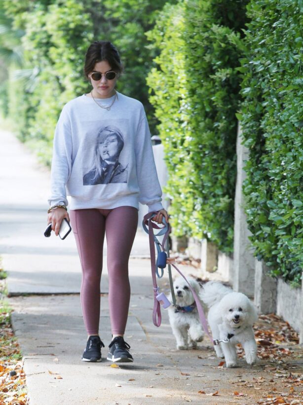 Lucy Hale - taking her dogs for a walk in Los Angeles