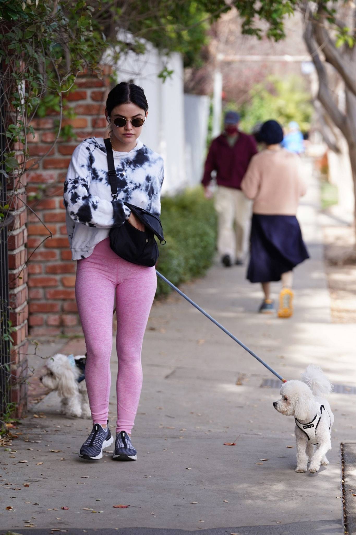Lucy Hale - Walk with her dogs in Los Angeles