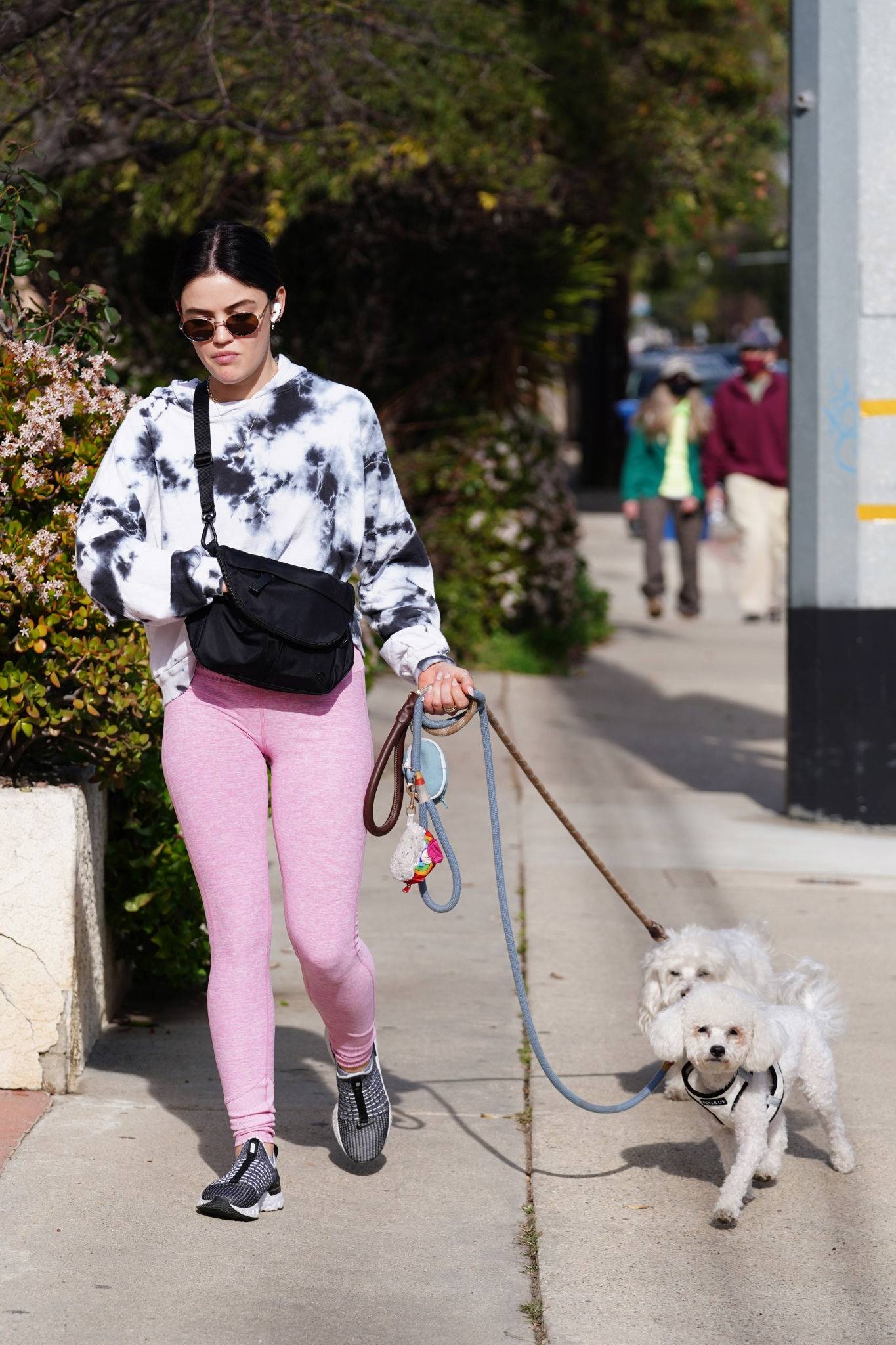 Lucy Hale 2022 : Lucy Hale – Walk with her dogs in Los Angeles-04