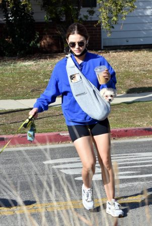 Lucy Hale - Walk with her two dogs in Studio City