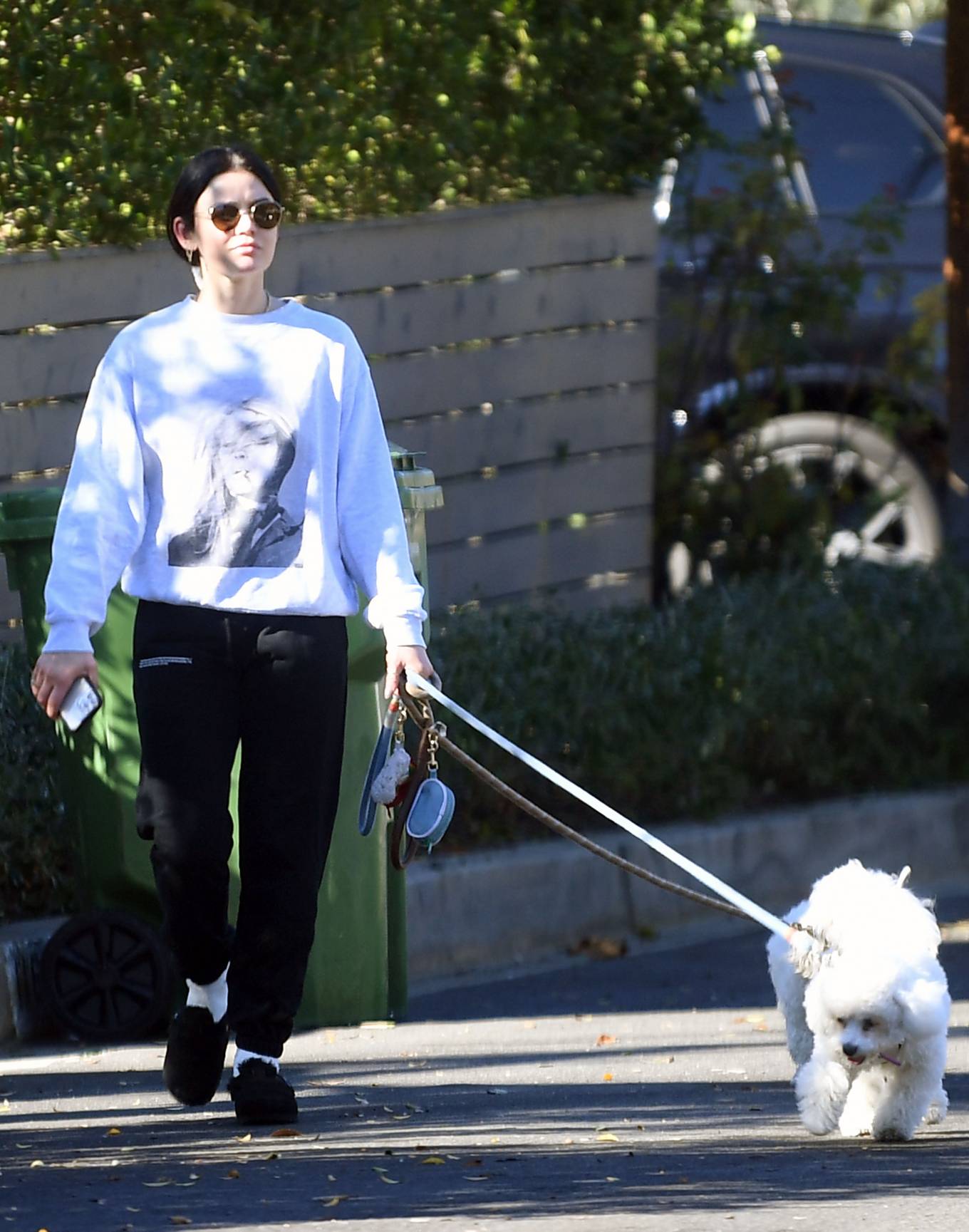 Lucy Hale - Walking her two dogs Elvis and Ethel in Hollywood Hills