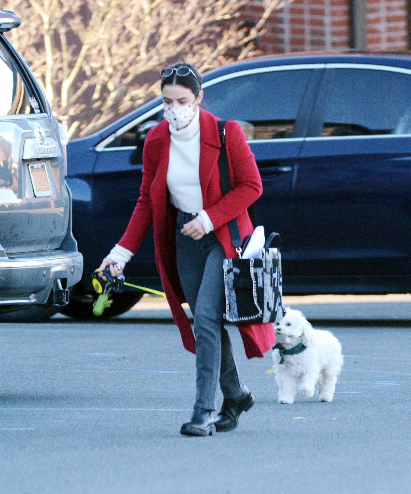 Lucy Hale - Walks her dog in Upstate New York